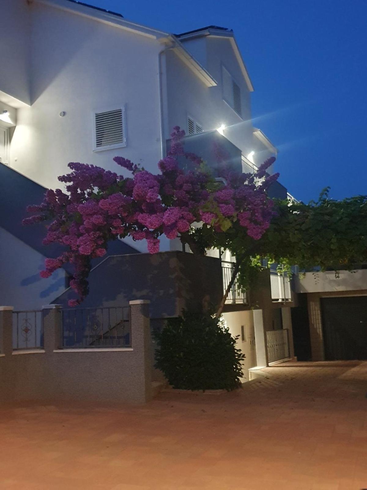 Apartment Bozovic Orebić Eksteriør billede